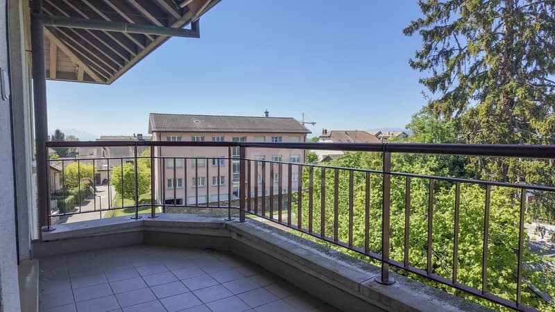 Charmant appartement avec deux balcons (6)