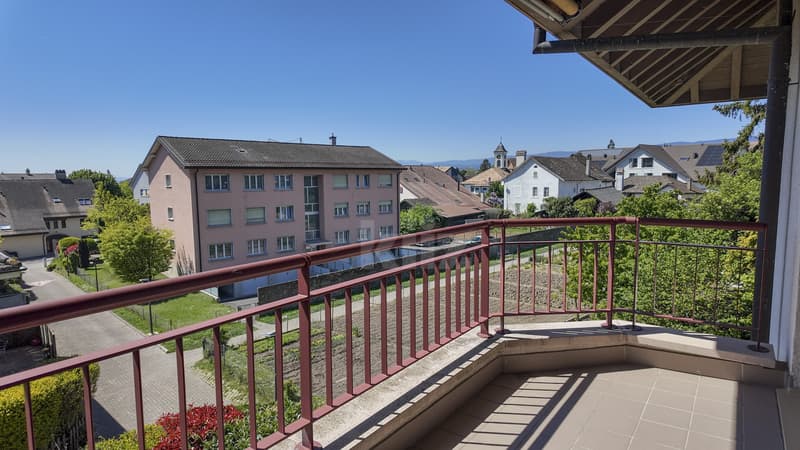 Charmant appartement avec deux balcons (9)