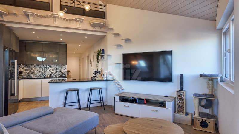 Splendide appartement contemporain avec vue imprenable (3)