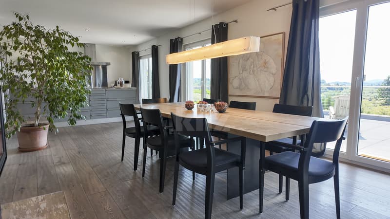 Splendide villa individuelle avec terrasses et grand jardin (3)