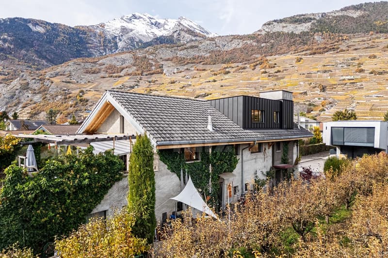 Splendide villa d'architecte avec appartement indépendant (12)