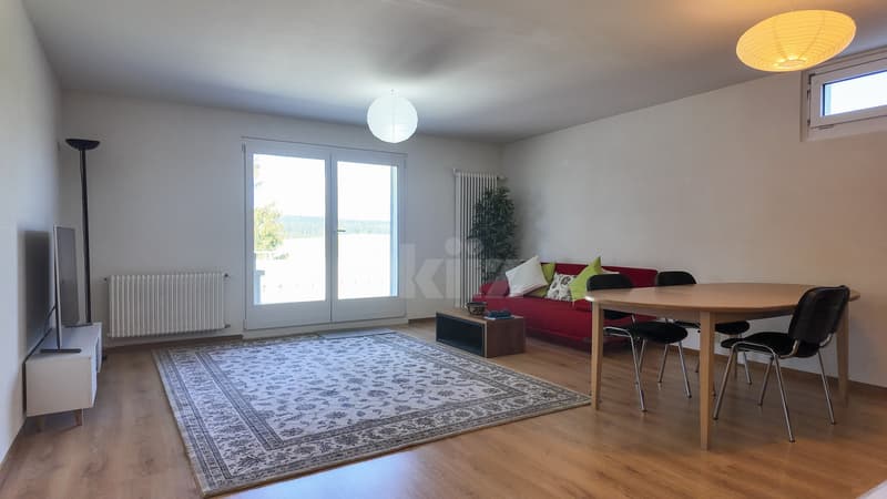 Maison de 3 logements avec ateliers au formidable potentiel (2)