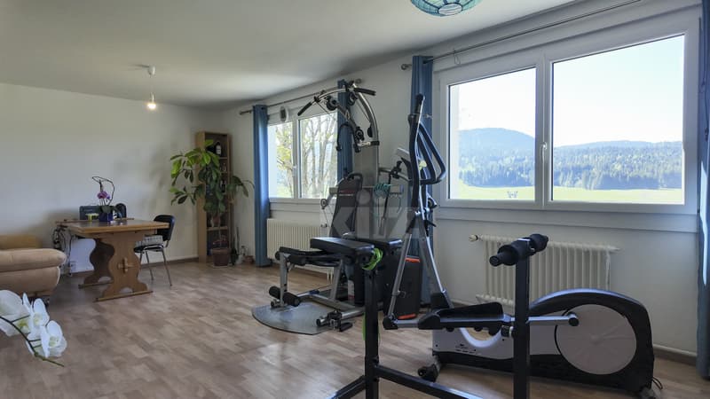 Maison de 3 logements avec ateliers au formidable potentiel (8)