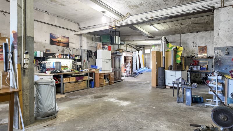 Maison de 3 logements avec ateliers au formidable potentiel (10)
