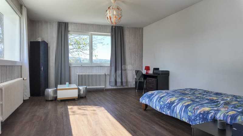 Maison de 3 logements avec ateliers au formidable potentiel (7)