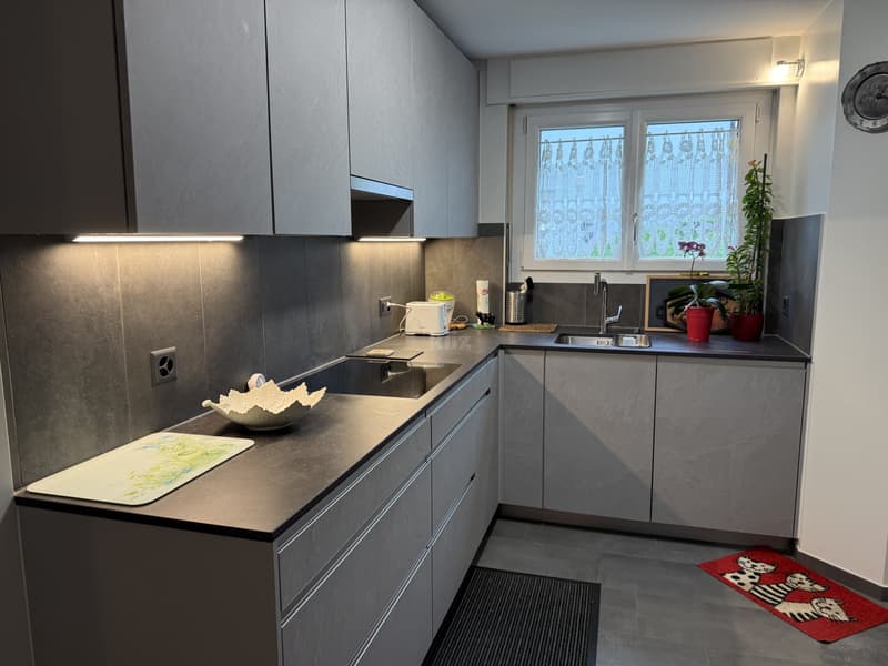 Bel appartement avec terrasse couverte et jardin (6)