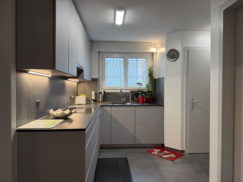 Bel appartement avec terrasse couverte et jardin (7)