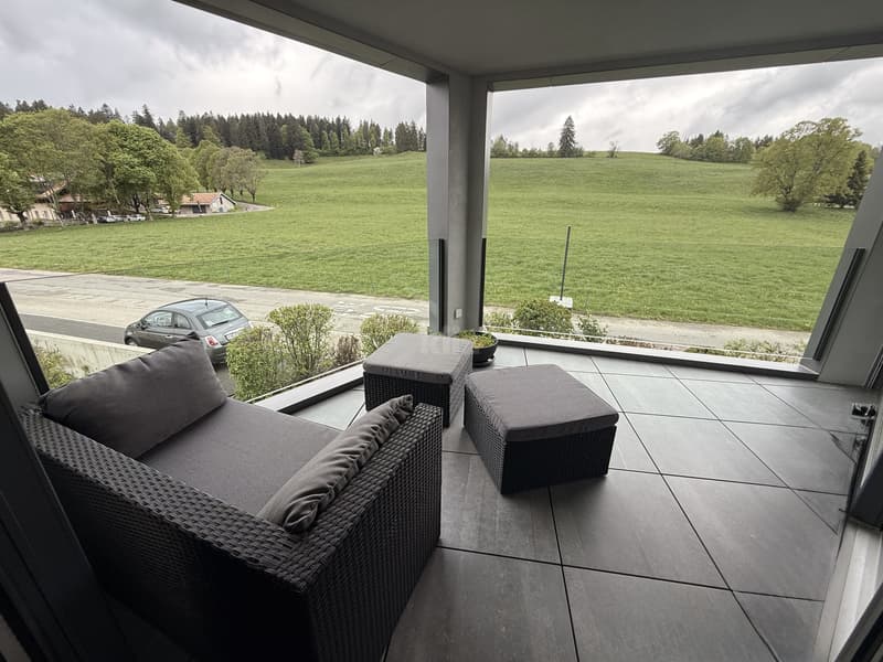 Magnifique appartement aux finitions haut de gamme. (11)