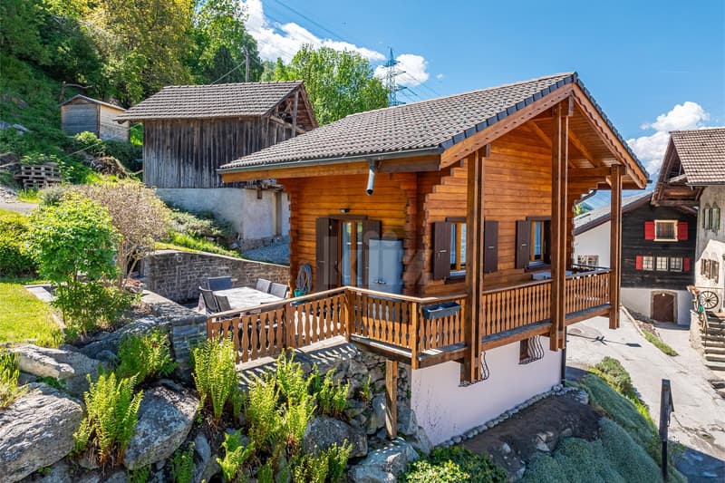 Charmant chalet avec terrasse, jardin et vue dégagée (1)
