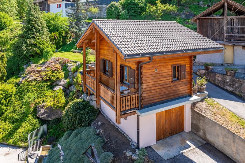 Charmant chalet avec terrasse, jardin et vue dégagée (11)