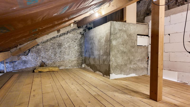 A rénover entièrement : Maison villageoise (10)