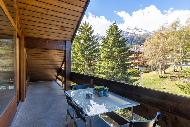 Charmant appartement avec vue montagne et grand balcon (4)