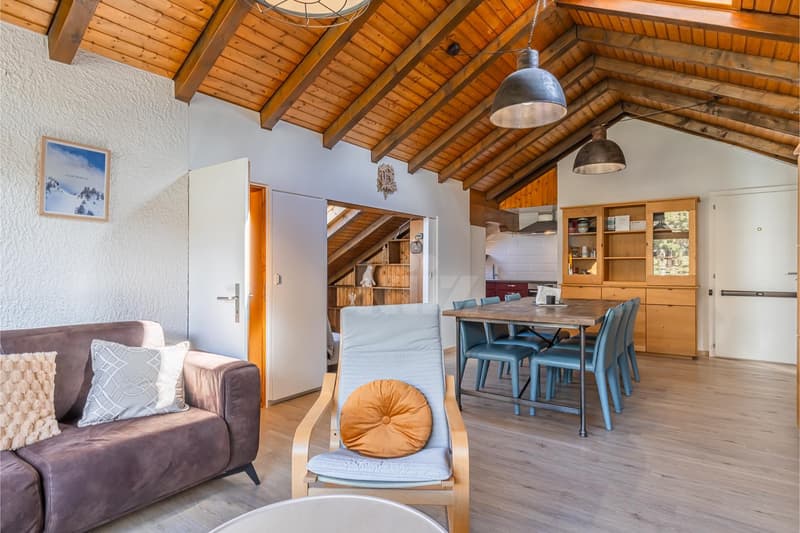 Charmant appartement avec vue montagne et grand balcon (2)