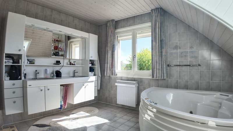 Superbe maison individuelle avec jardin et piscine (7)
