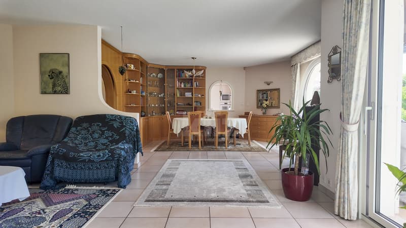 Superbe maison individuelle avec jardin et piscine (3)