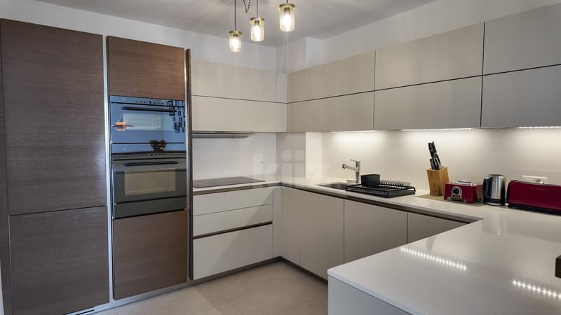 Magnifique appartement avec grand balcon (4)