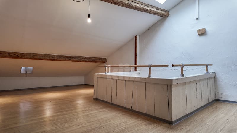 Superbe maison de ville avec local indépendant (7)
