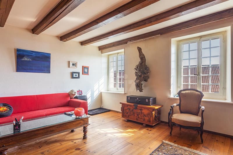 Très bel appartement avec cachet (2)