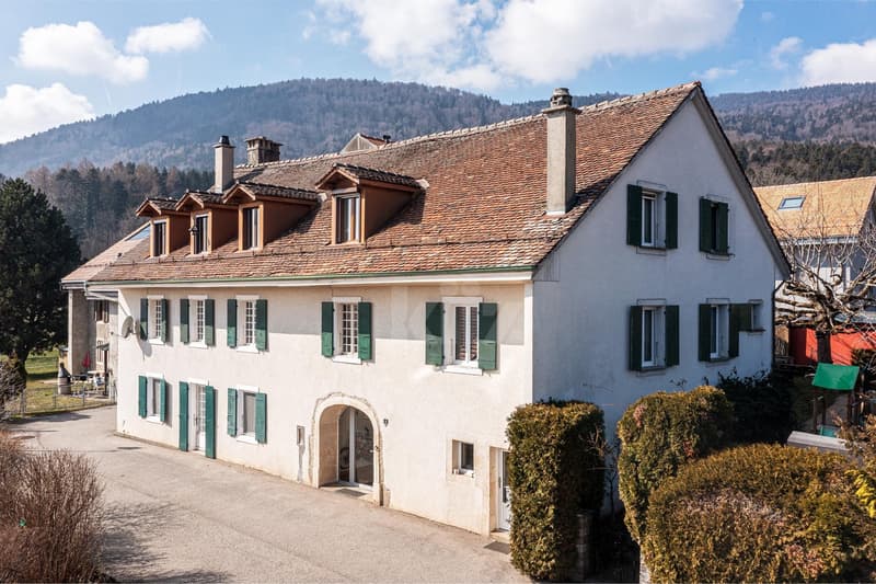 Très bel appartement avec cachet (11)