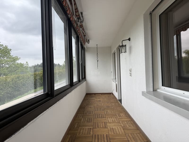 Charmant appartement lumineux avec grande loggia (6)