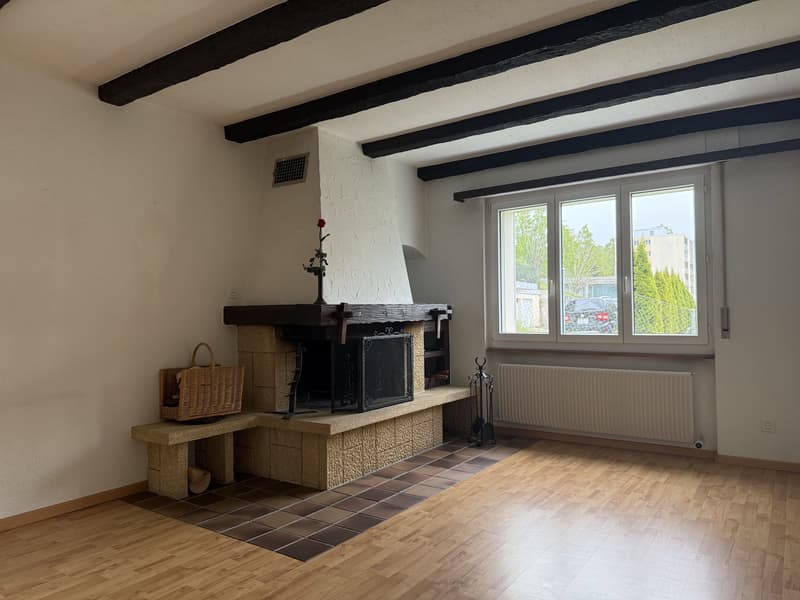 Charmant appartement lumineux avec grande loggia (3)