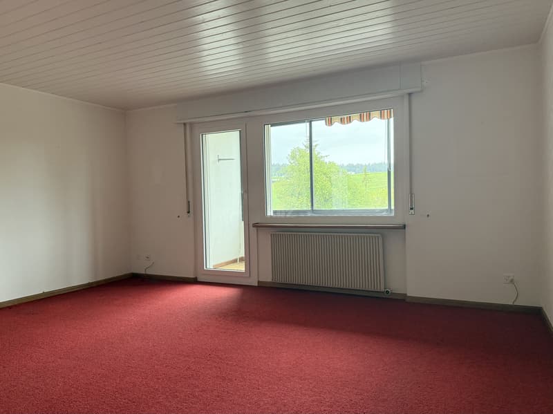 Charmant appartement lumineux avec grande loggia (8)
