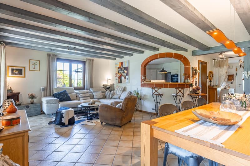 Charmante maison avec jardin et trois terrasses (4)