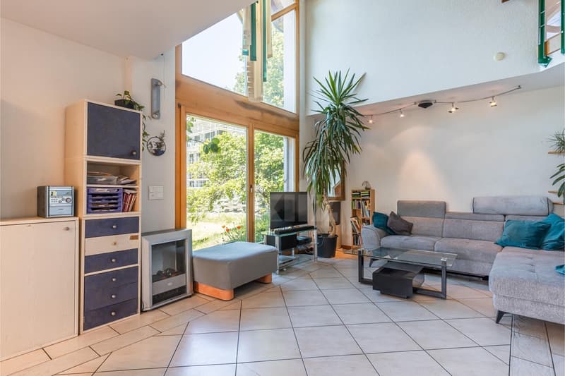Splendide villa familiale avec jardin (2)