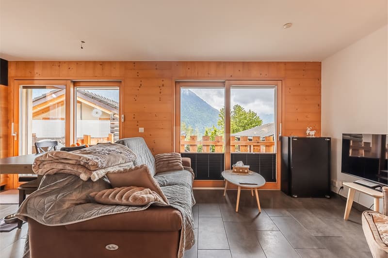 Superbe appartement rénové avec terrasse (5)