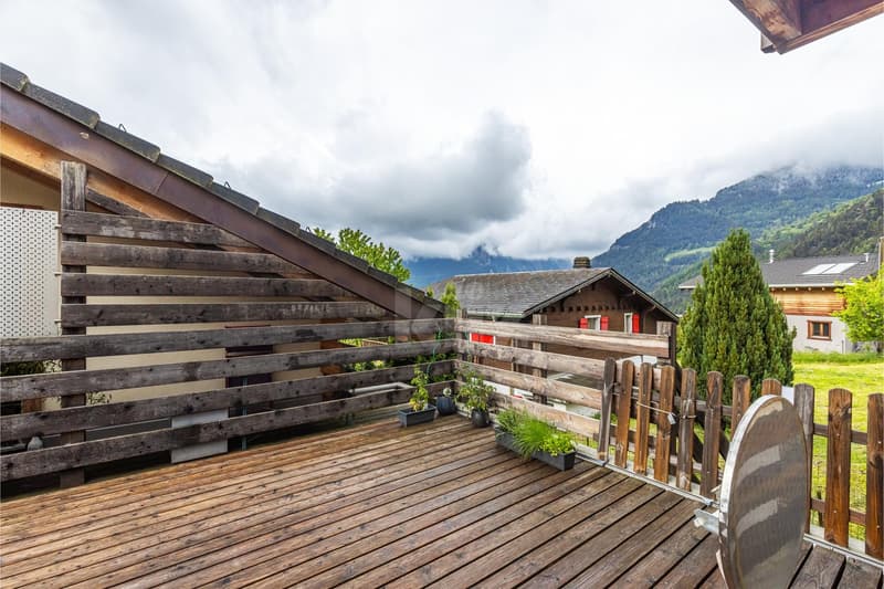 Superbe appartement rénové avec terrasse (6)