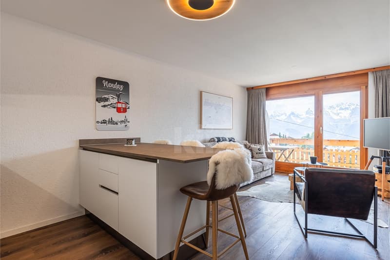 Ski In and Out : Appartement rénové avec balcons (3)