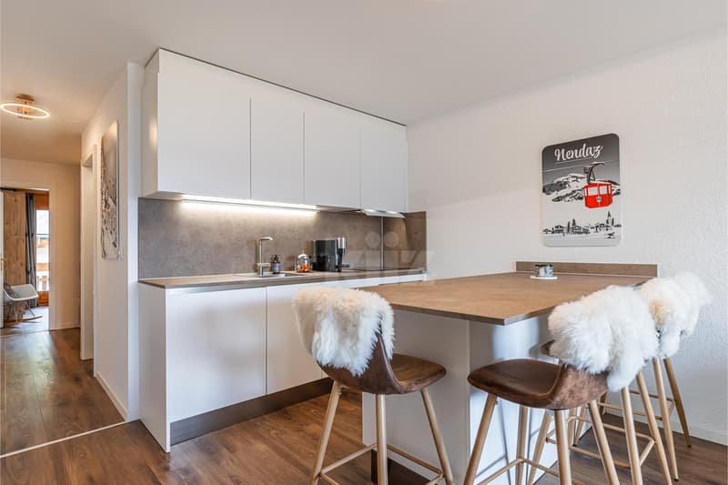 Ski In and Out : Appartement rénové avec balcons (5)