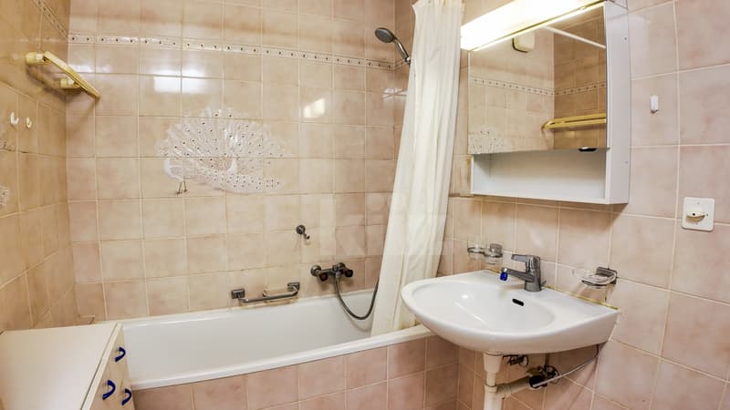 Charmant appartement avec balcon à proximité du Lac (11)