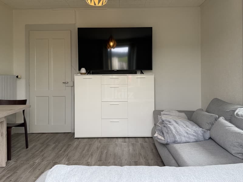 Bel appartement avec balcon (4)
