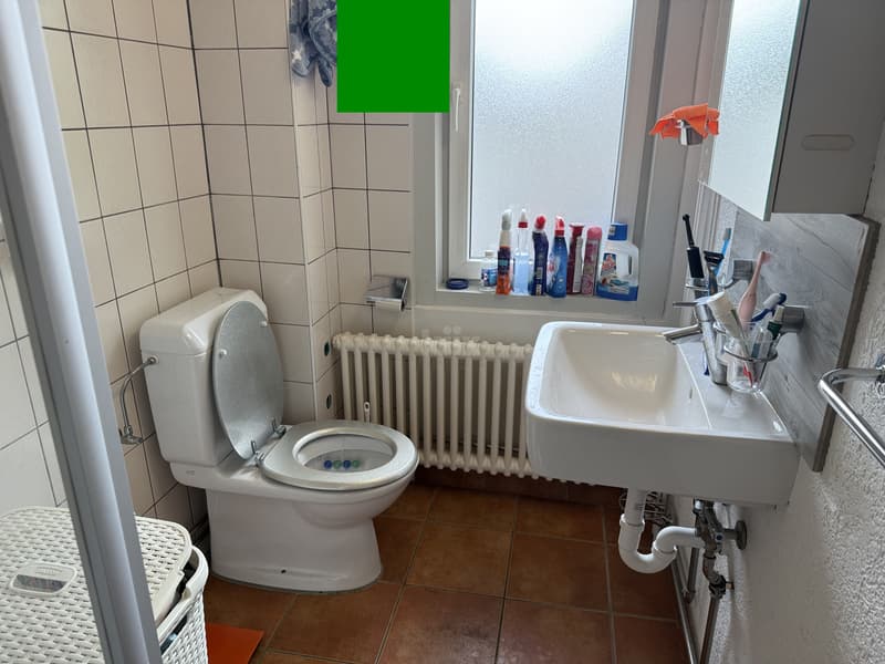 Bel appartement avec balcon (10)
