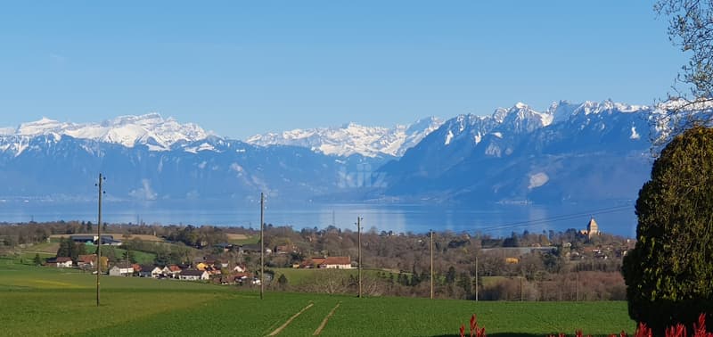 Charmante maison mitoyenne avec grand jardin et vue dégagée (11)