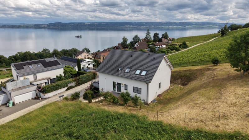 Maison récente de trois appartements avec vue sur le lac (1)