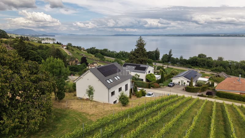 Maison récente de trois appartements avec vue sur le lac (2)