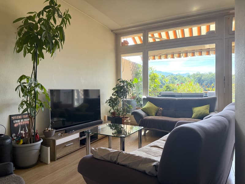 Charmant studio avec grande terrasse et vue dégagée (1)