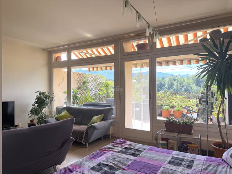 Charmant studio avec grande terrasse et vue dégagée (5)