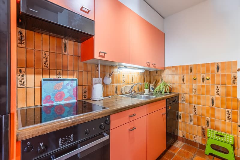 Appartement au dernier étage avec terrasse (5)