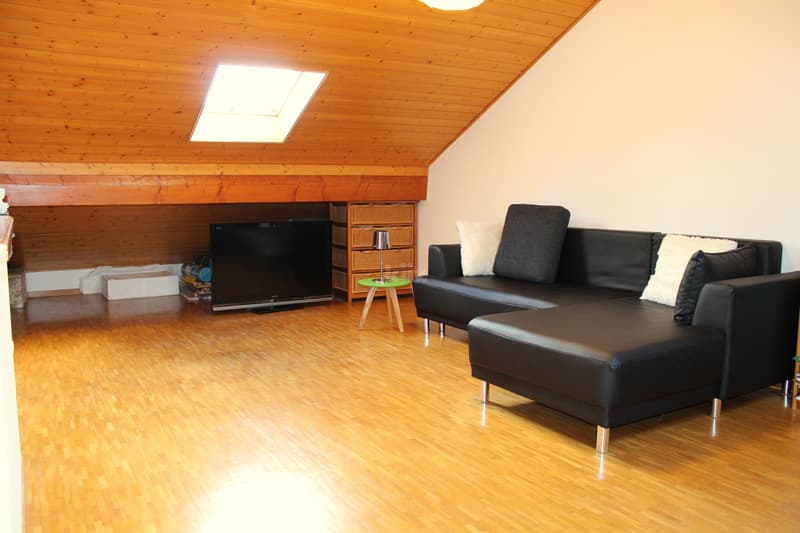 Charmante maison mitoyenne en pignon avec studio indépendant (12)