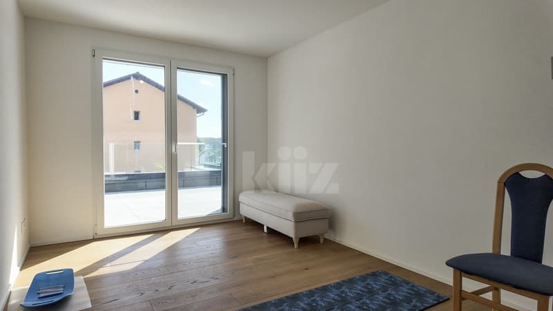 Magnifique appartement avec grande terrasse et vue dégagée (7)