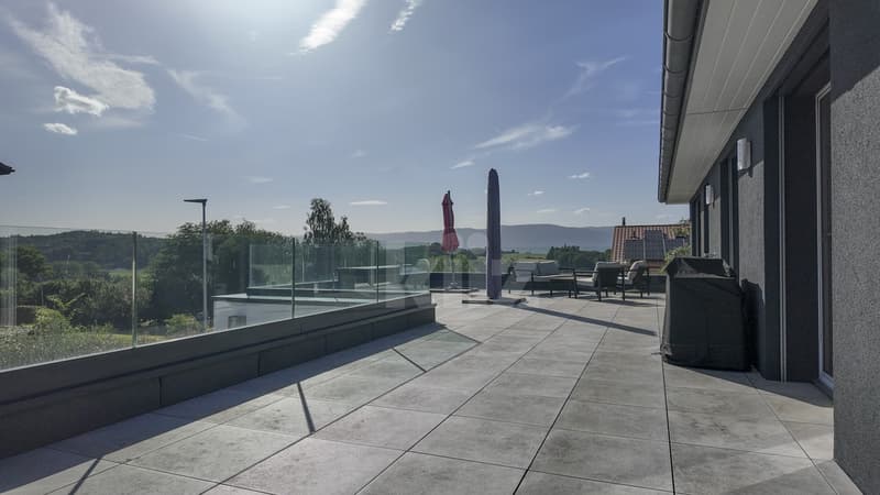 Magnifique appartement avec grande terrasse et vue dégagée (11)