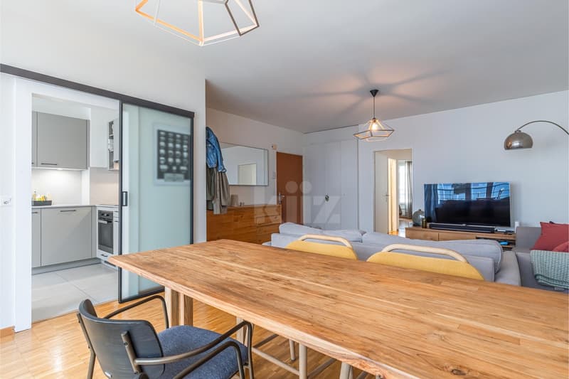 Bel appartement rénové avec balcon au centre de Genève (4)