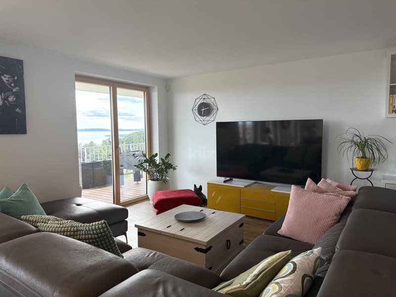 Superbe appartement avec vue panoramique sur le lac (4)