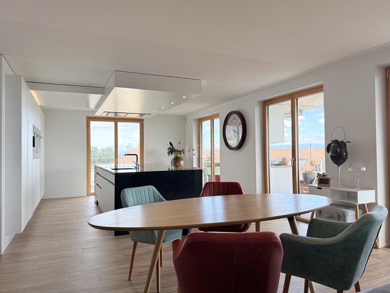 Superbe appartement avec vue panoramique sur le lac (2)