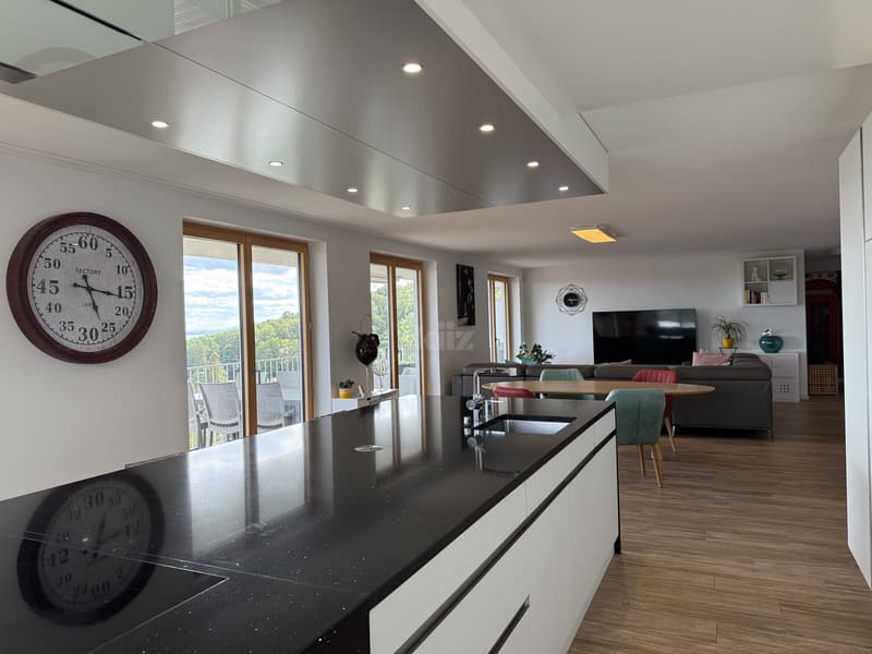 Superbe appartement avec vue panoramique sur le lac (3)