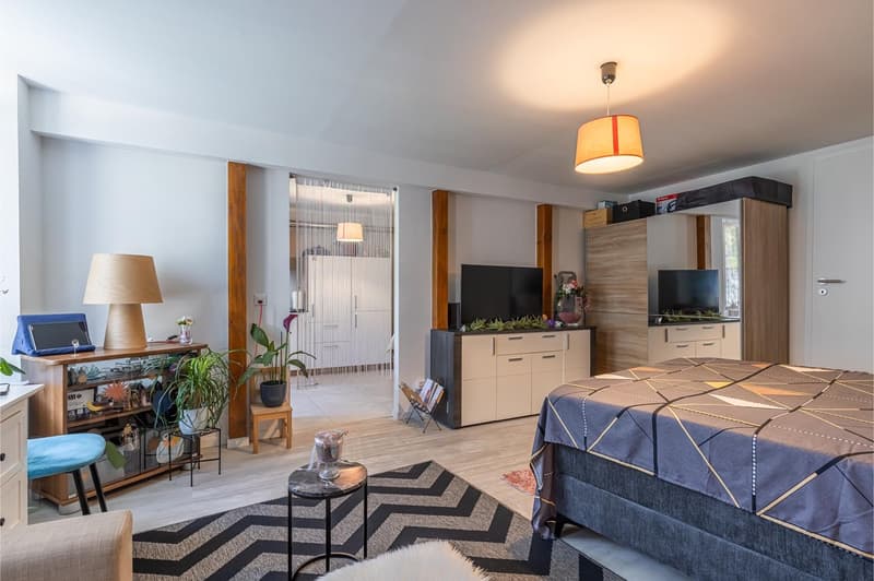Immeuble de 5 appartements à deux pas du centre-ville (9)