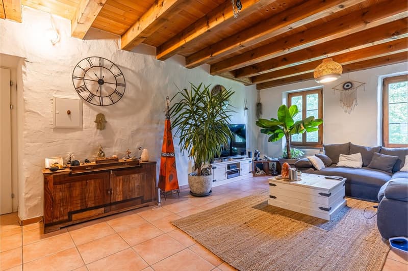 Immeuble de 5 appartements à deux pas du centre-ville (2)